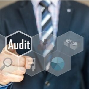 Internal Audit and Control for Banking & Financial Services