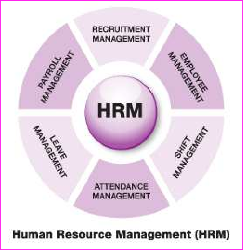 hrm-for-line-managers-magenta-pedia