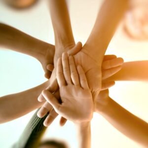 Developing Value for Your Organization