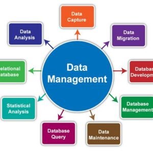Big Data Management