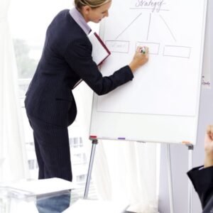 Learn How to Conduct and Facilitate Meetings (Development Managerial Skills)