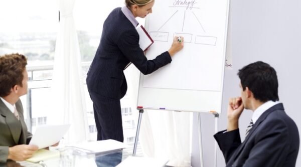 Learn How to Conduct and Facilitate Meetings (Development Managerial Skills)